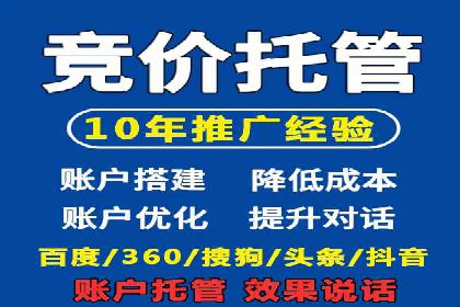 百度竞价排名实战：某电商平台的成功之路